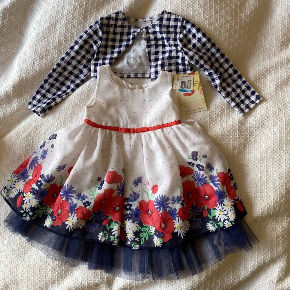Girls Dress Size 24mon